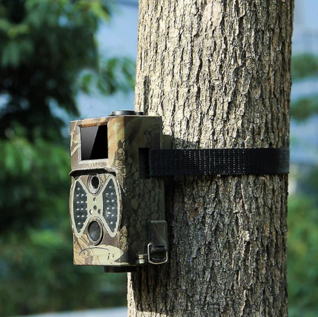 Κάμερα για εξερεύνηση άγριας φύσης Andowl Q-300M σε λαδί χρώμα